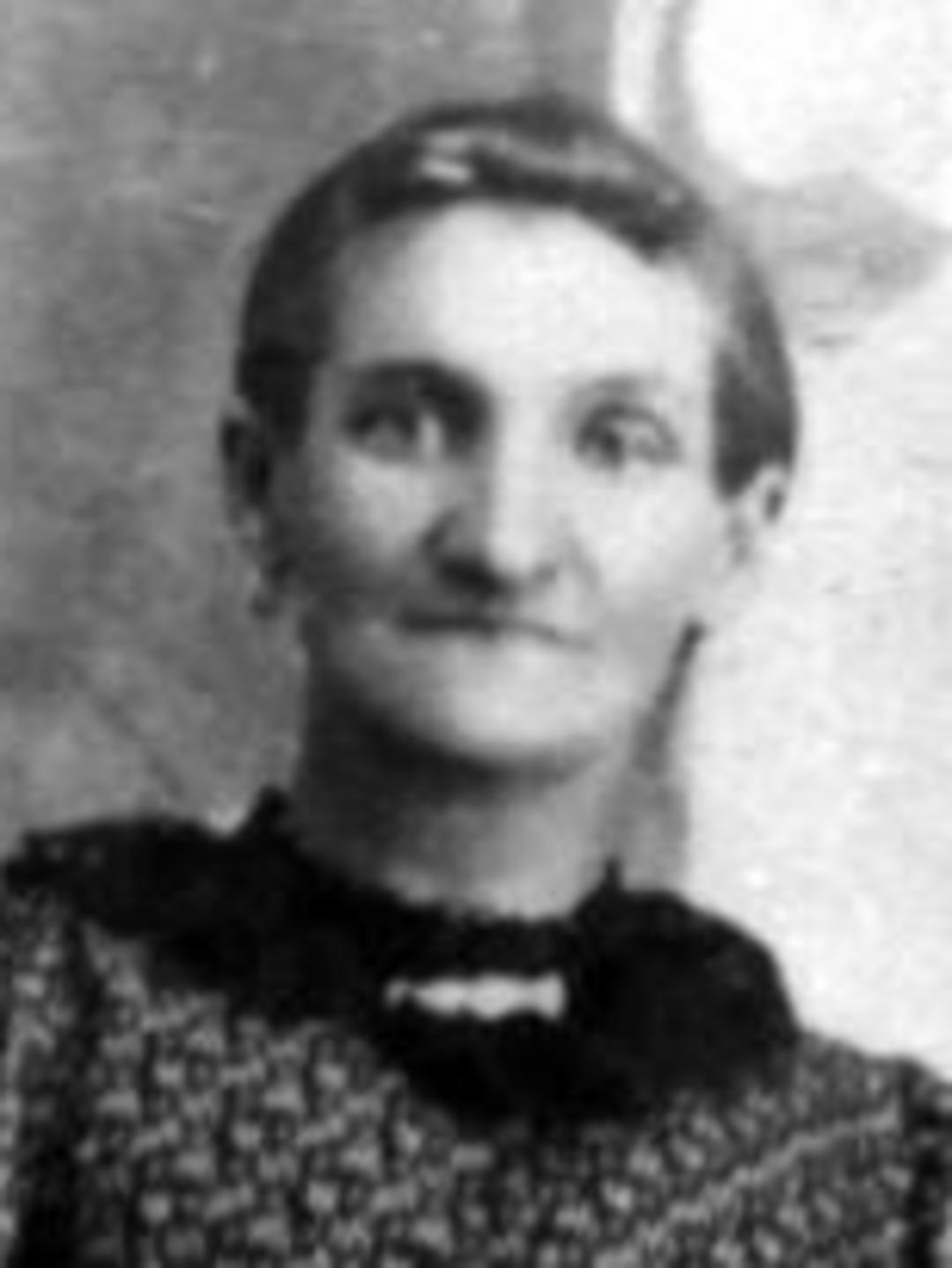 Susannah Green (1849 - 1920) Profile